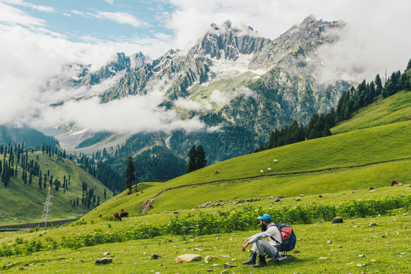 Jammu & Kashmir Couple Honeymoon Tour